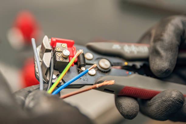 Best Electric Panel Repair  in Ferrum, VA