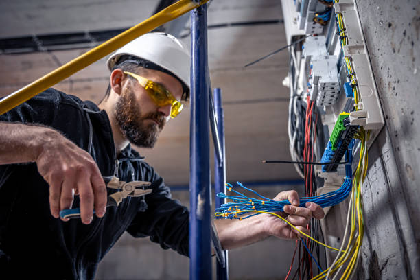 Best Home Electrical Repair  in Ferrum, VA
