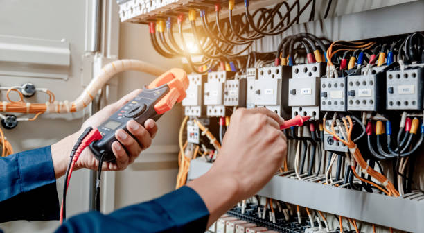 Best Electric Panel Repair  in Ferrum, VA